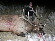 Colorado Elk